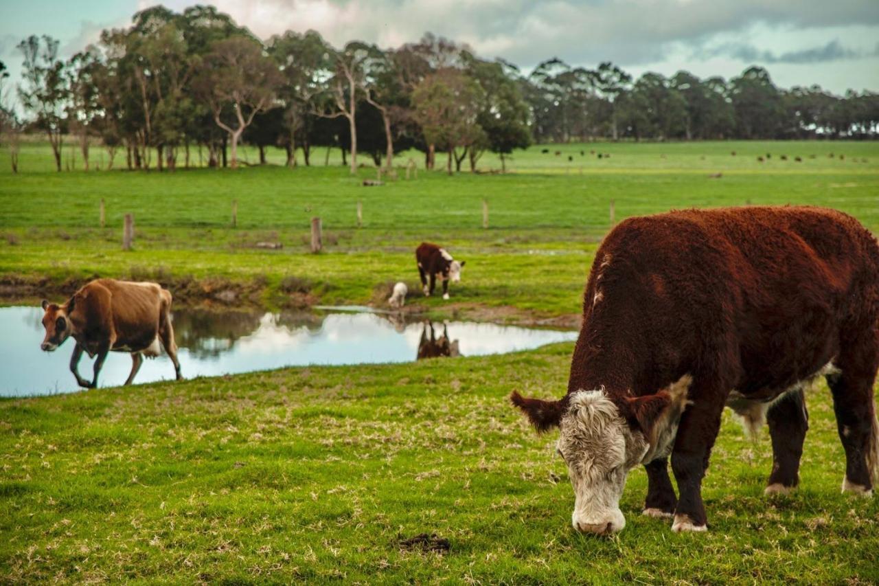 Discovery Parks Margaret River Cowaramup Exteriör bild